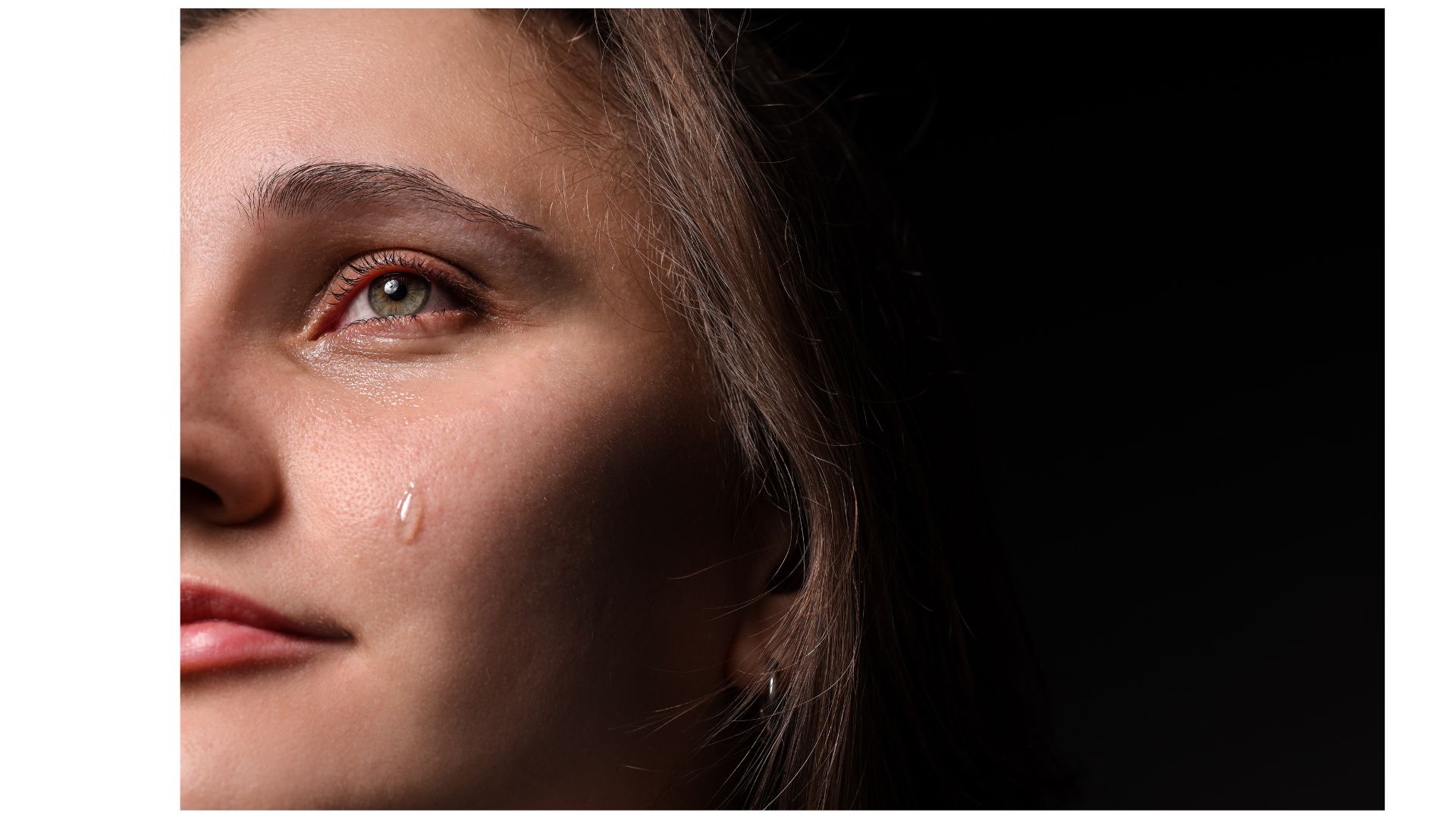 Tomar la vida sin culpa – Sanar la culpa familiar y ocupar tu lugar en el sistema